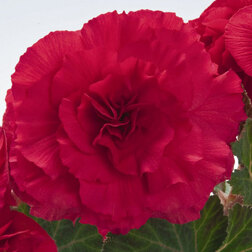 ����  ������� ��������� ������� ��� ���� (1��-100��) ���������������� ������, ������ �� 880 ���