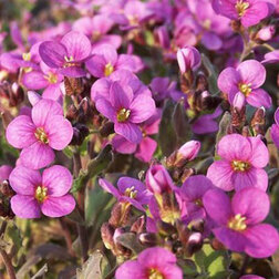 ����  ������ ���������� ���� ����� ��� ���� (1��-250��) ���������������� ������, ������ �� 1328 ���