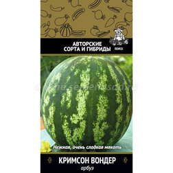 ����  ����� ������� ������, ������ �� 32 ���