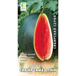 ����  ����� ��������� ���� (��������� �����), ������ �� 29 ���