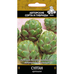 ����  ������� ������, ������ �� 63 ���