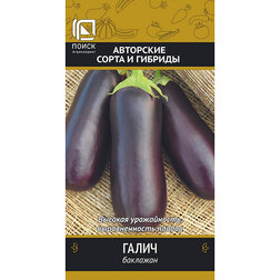 ����  �������� �����, ������ �� 29 ���