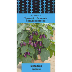 ����  �������� �������� (������ ����), ������ �� 128 ���