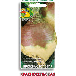 ����  ������ �������������� (���� ������. �� ����� 2024 �), ������ �� 12.5 ���