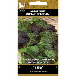 ����  ������� �������� �����, ������ �� 29 ���