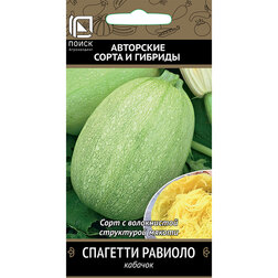 ����  ������� �������� �������, ������ �� 31 ���