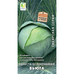 ����  ������� ������������ ����� (��������� �����), ������ �� 29 ���