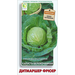 ����  ������� ������������ ��������� �����, ������ �� 29 ���