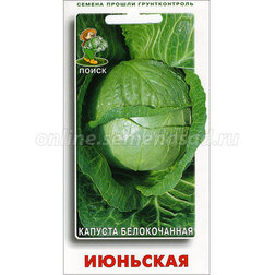 ����  ������� ������������ ��������, ������ �� 25 ���