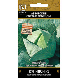 ����  ������� ������������ ������� F1, ������ �� 32 ���