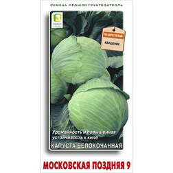 ����  ������� ������������ ���������� ������� 9, ������ �� 29 ���