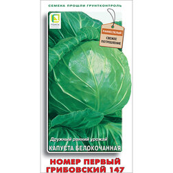 ����  ������� ������������ ����� ������ ���������� 147, ������ �� 25 ���