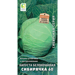 ����  ������� ������������ ��������� 60 (��������� �����), ������ �� 29 ���