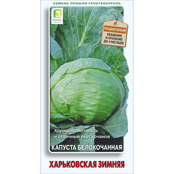 ����  ������� ������������ ����������� ������, ������ �� 29 ���