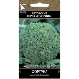 ����  ������� �������� �������, ������ �� 29 ���