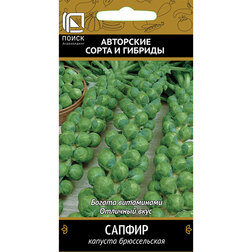 ����  ������� ������������ ������, ������ �� 29 ���