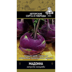 ����  ������� �������� �������, ������ �� 29 ���