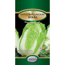 ����  ������� ��������� �����, ������ �� 31 ���