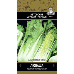 ����  ������� ��������� ������, ������ �� 31 ���