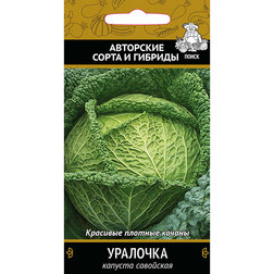 ����  ������� ��������� ��������, ������ �� 29 ���