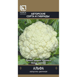 ����  ������� ������� �����, ������ �� 31 ���