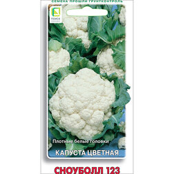 ����  ������� ������� �������� 123, ������ �� 30 ���