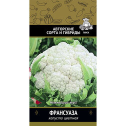 ����  ������� ������� ���������, ������ �� 31 ���