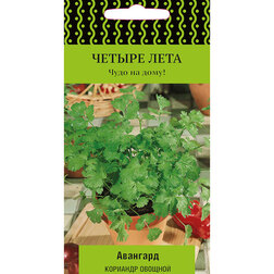 ����  �������� ������� �������� (������ ����), ������ �� 30 ���