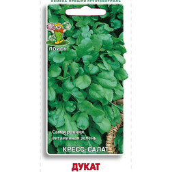 ����  �����-����� �����, ������ �� 29 ���