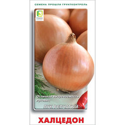 ����  ��� �������� ��������, ������ �� 25 ���