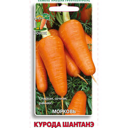 ����  ������� ������ �������, ������ �� 30 ���