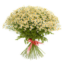 ����  ������� ����� ����� (1��-1000��) ���������������� ������, ������ �� 4000 ���