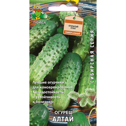 ����  ������ ����� (��������� �����), ������ �� 29 ���