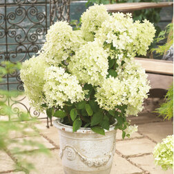 ����  ��������� ����������� (��������), ������ �� 629 ���