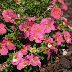 ����  �������� ������������� ���������, ������ �� 688 ���