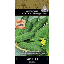 ����  ������ ����� F1, ������ �� 32 ���