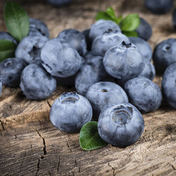 ����  �������� ������������ ����, ������ �� 539 ���