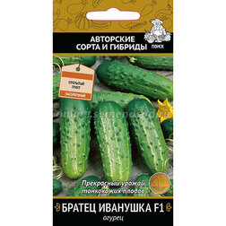 ����  ������ ������ �������� F1, ������ �� 29 ���