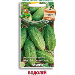 ����  ������ �������, ������ �� 25 ���