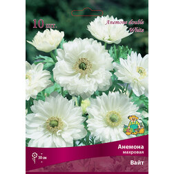 ����  ������� �������� ���� (10 ��.), ������ �� 314 ���