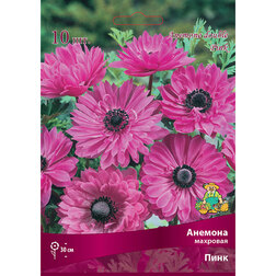 ����  ������� �������� ���� (10 ��.), ������ �� 314 ���