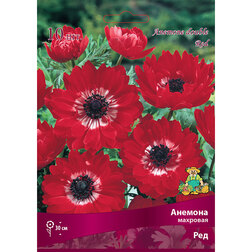 ����  ������� �������� ��� (10 ��.), ������ �� 314 ���