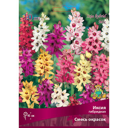 ����  ����� ��������� ����� ������� (10 ��.), ������ �� 229 ���