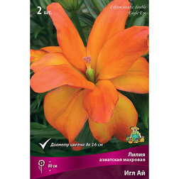 ����  ����� ��������� �������� ��� �� (2 ��.), ������ �� 462 ���