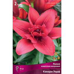 ����  ����� ��������� �������� ������ ���� (2 ��.), ������ �� 462 ���