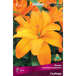 ����  ����� ��������� �������� ������� (2 ��.), ������ �� 462 ���