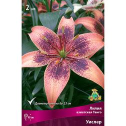 ����  ����� ��������� ����� ������ (2 ��.), ������ �� 387 ���