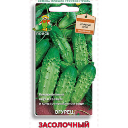 ����  ������ ����������, ������ �� 25 ���