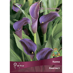 ����  ����� �������, ������ �� 360 ���