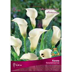 ����  ����� �������������, ������ �� 360 ���